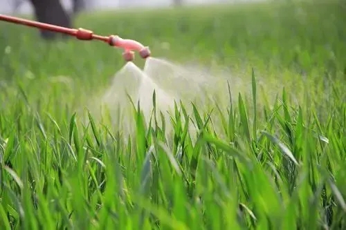 葉面肥消泡劑應用場景圖