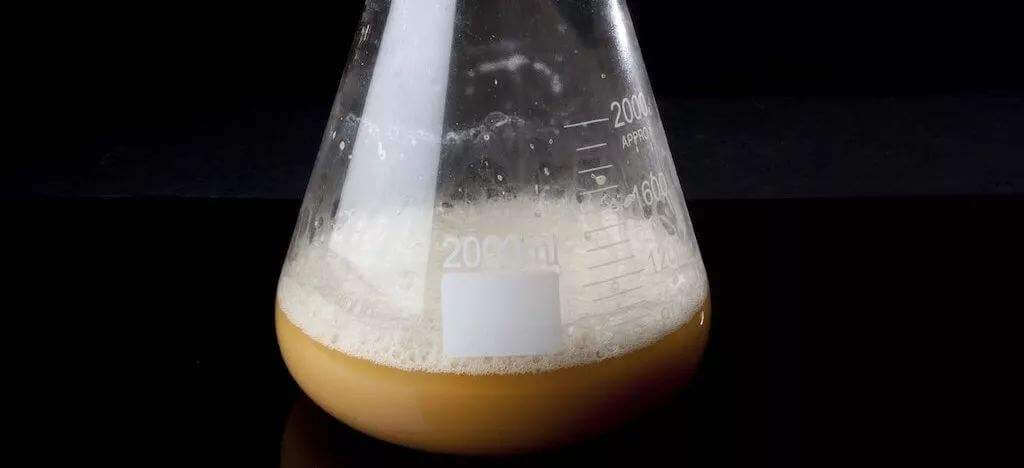 酵母發(fā)酵起泡是怎么回事，怎么處理這些泡沫？