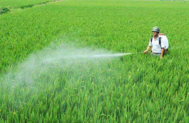 農(nóng)藥乳化劑用農(nóng)藥乳化劑起泡原因分析，泡沫過多怎么解決？泡劑